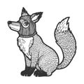 Fox in hat balaclava sketch engraving vector