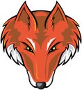 Fox Head Royalty Free Stock Photo