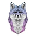 Fox head sketch vector graphics