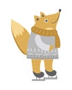 Fox Isolated in Warm Clothes on Skates on White