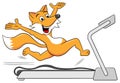 Fox is jogging on a treadmill