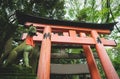 Fox kisune statue in front of orange torii gate in woods at the Fushimi Inari Taisha shrine in Kyoto, Japan Royalty Free Stock Photo