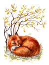 A fox lies under an autumn bush, watercolor Royalty Free Stock Photo