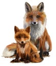 Fox mom and cub