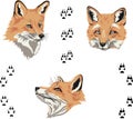 Fox, portrait, color, fox's snout, vector, silhouette, set