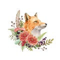 Fox Portrait Flower Arrangement. Watercolor Illustration. Wild Cute Red Fox Animal Autumn Flowers, Forest Berries. Furry