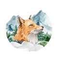 Fox portrait in mountain wild landscape. Watercolor illustration. Wild cute red fox in forest winter scene. Side view