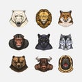 Fox and raccoon, dog Deer and hare, panther and wolf monkey Polar bear and lion, Brown bear and bull.. Animal in vintage