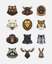 Fox and raccoon, dog Deer and hare, panther and wolf monkey Polar bear and lion, Brown bear and bull.. Animal in vintage