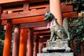 Fox sculpture with red torii gates at Fushimi Inari Taisha Shrine in Kyoto, Japan Royalty Free Stock Photo