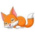 Fox sleeping cartoon