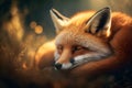 A fox sleeps on grass in a warm light. Evening light. Generative AI Royalty Free Stock Photo