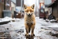 a fox standing in the middle of a street in the snow