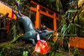 Fox Statue at Fushimi Inari, Kyoto Royalty Free Stock Photo