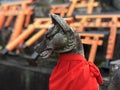 Fox statue at Fushimi Inari Taisha