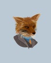 Fox in a suit, dapper fox, vector