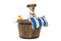 Bath Time for this Happy Dog Royalty Free Stock Photo