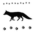 Fox tracks animal contour black