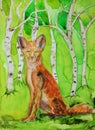 Fox under berch trees. Royalty Free Stock Photo