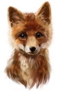 Fox watercolor painting Royalty Free Stock Photo