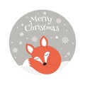 Cute sleeping fox on the snow Royalty Free Stock Photo