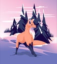 Fox in the winter coniferous forest.