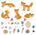 Foxes set . Cute vector characters