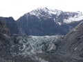 Foxglacier