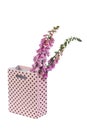 Foxglove flowers in a pink gift bag isolated on white Royalty Free Stock Photo