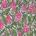 Foxglove pink flowers beautiful floral pattern