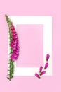 Foxglove Wild Flower Background for Healing Plant Medicine Royalty Free Stock Photo