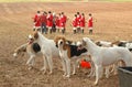 Foxhounds. Completion of