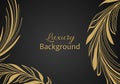 Elegant banner with intricate, parallel golden lines on a dark background.