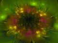 Fractal abstract flower beautiful dream color fantasy effect dark wallpaper blossom unique dynamic