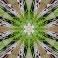 Fractal art flower green and ivory