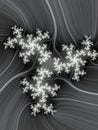 Fractal. Black white bright flowery background, texture