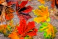 Fractal brilliant colors leaves