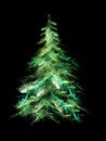 Fractal Christmas tree Royalty Free Stock Photo