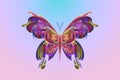 Fractal, a colorful abstract butterfly on a gradient background Royalty Free Stock Photo