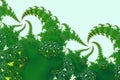 Fractal fern shapes Royalty Free Stock Photo