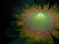 Fractal flower beautiful transparent fantastic background shining