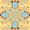 Fractal kaleidoscope flower forget-me-not