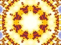 A fractal pattern similar to a pineapple slice.