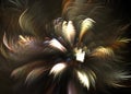 Fractal Pinnate Winged Topknot Background - Fractal Art