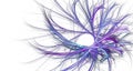 Fractal purple Aster