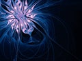 Fractal snowflower on the background Royalty Free Stock Photo