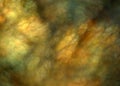 Fractal Spindrift Clouds - Fractal Background