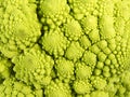 Fractal Texture of Romanescu