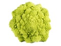 Fractal Texture of Romanescu Royalty Free Stock Photo