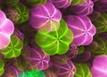 Fractal Transparent Pumpkin Background